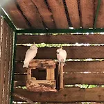 Luna Met Airco Wifi En Zwembad * Novigrad Istria