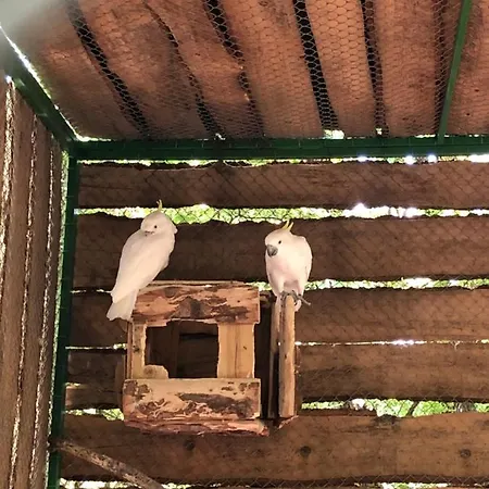 Luna Met Airco Wifi En Zwembad * Novigrad Istria